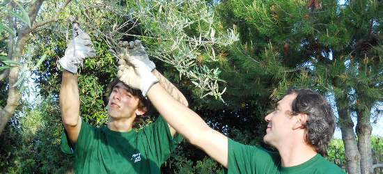 Arno, apprenti jardinier chez les particuliers